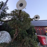 PXL_20240830_181748961