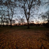 PXL_20241126_065807936