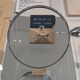 PXL_20260207_022342661.PORTRAIT.ORIGINAL