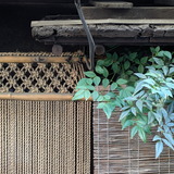 PXL_20260124_033500191.PORTRAIT.ORIGINAL