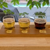 PXL_20250711_092630241.PORTRAIT