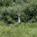 PXL_20260715_163619748