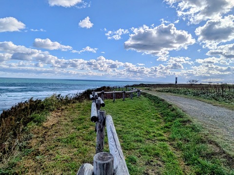 PXL_20251010_234119557~2