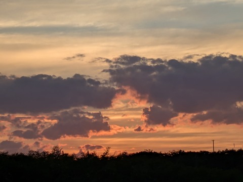 PXL_20250623_100139728