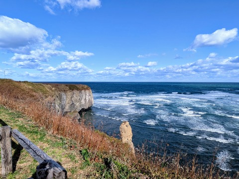 PXL_20251010_233936877~3