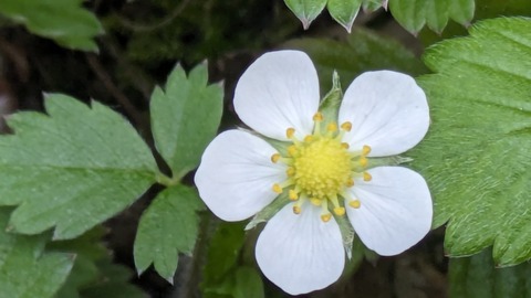 PXL_20240528_073258648