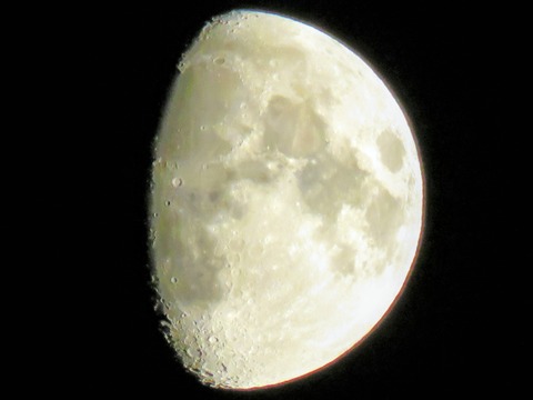 IMG_8736~2