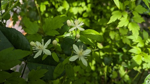 PXL_20230828_045541780