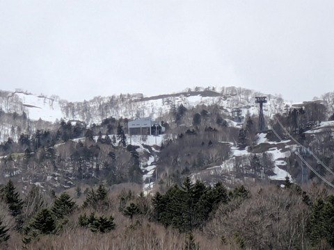 PXL_20250427_024400154