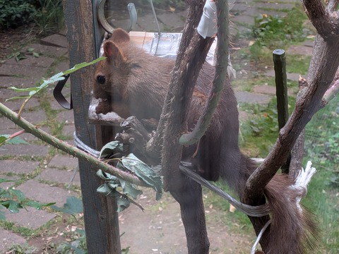 PXL_20250710_230621907