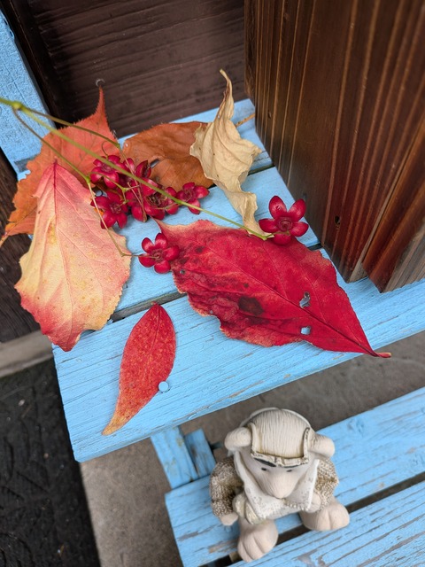 PXL_20250921_033019419