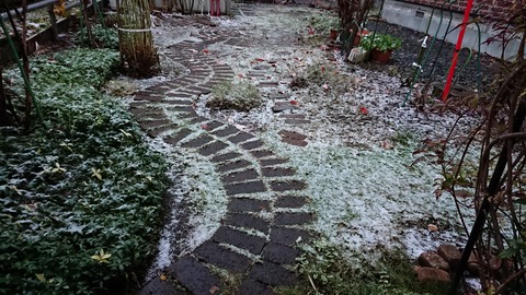 DSC_1712