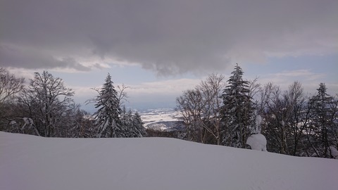 DSC_2742