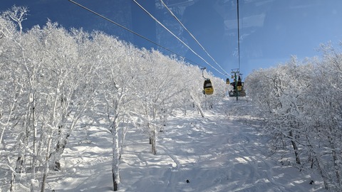 PXL_20240101_015153979