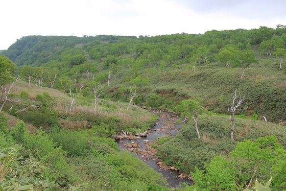 イメージ 6