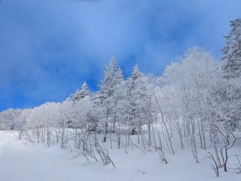 PXL_20250331_014516099~2