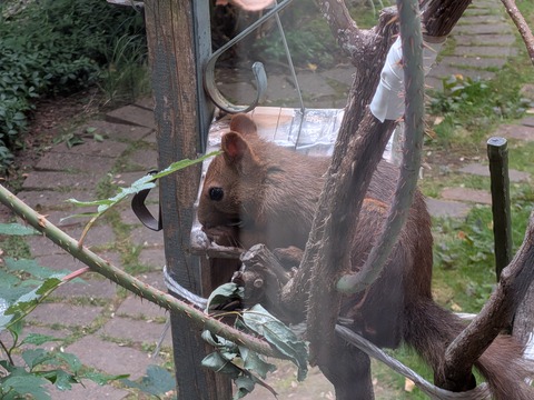 PXL_20250710_230616068