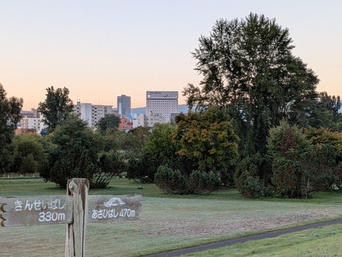 PXL_20251006_204456652