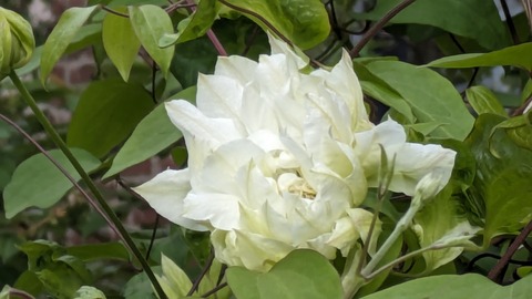 PXL_20240528_210804193