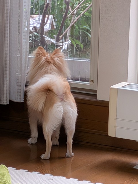 PXL_20250710_231009614