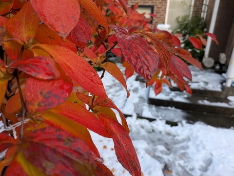 PXL_20251028_220314077