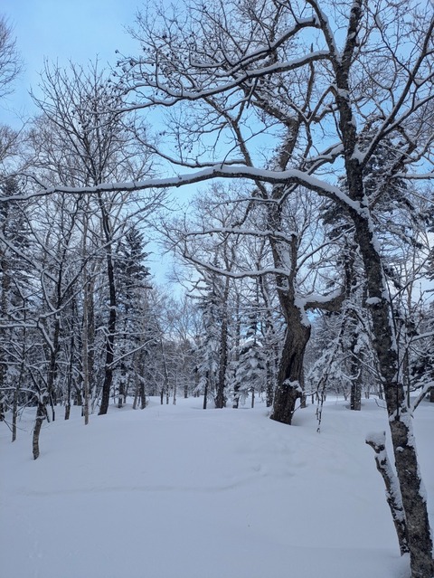 PXL_20250331_020947129~2