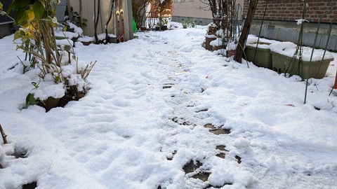 PXL_20231111_060644689