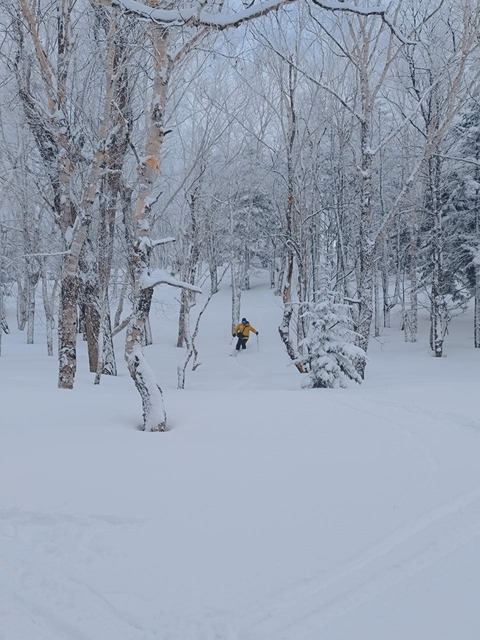 saved_file_1743396662125~2