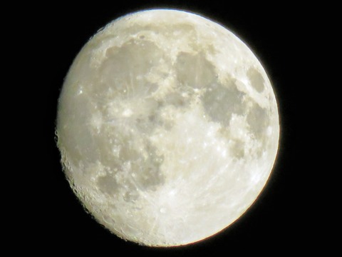 IMG_8756~2