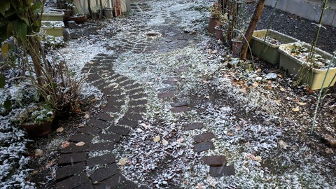 PXL_20231110_210426531