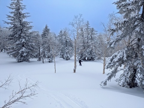 PXL_20250331_014525152~2