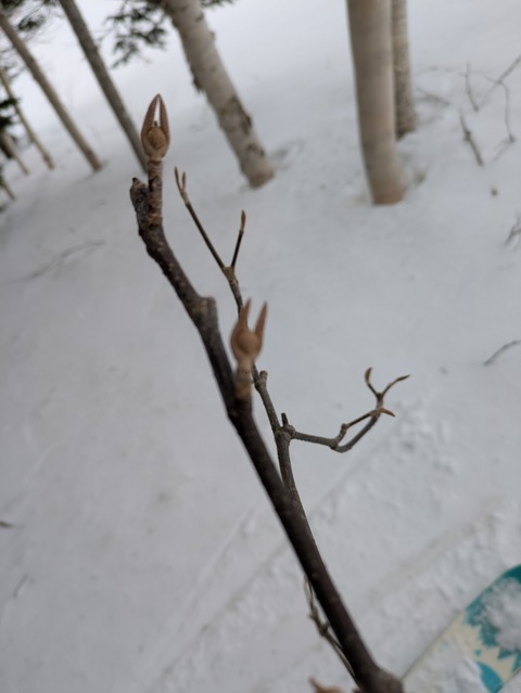 PXL_20250327_015807033