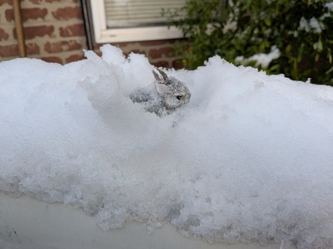 PXL_20251028_220228116