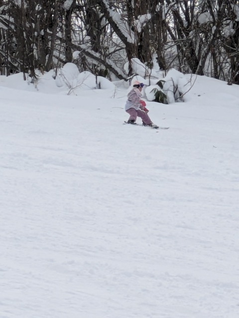 PXL_20241226_020724517