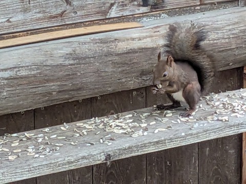 PXL_20250922_011048647