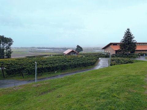 PXL_20250925_021912614~2