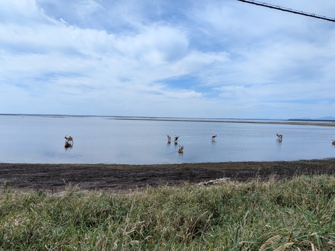 PXL_20250910_010905968