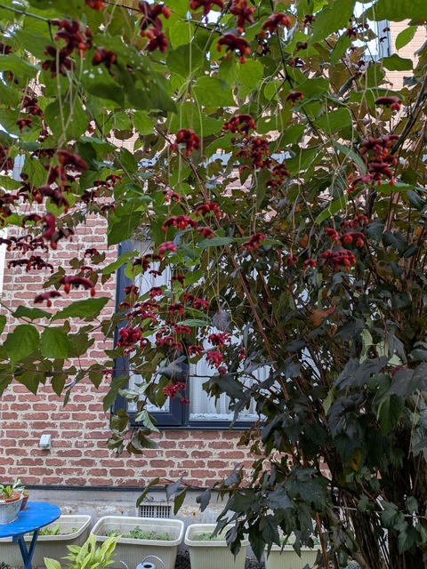 PXL_20260925_214418425