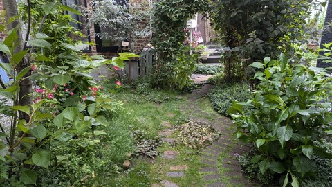 PXL_20240701_021736121