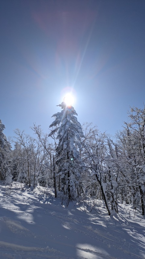 PXL_20240101_020203820