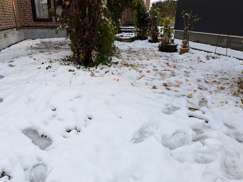 PXL_20251028_220355640