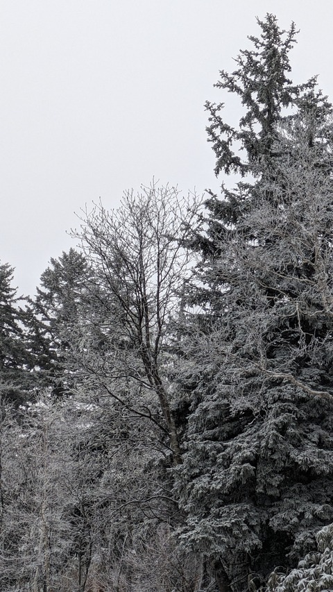 PXL_20240507_224226645