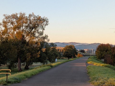 PXL_20251006_204938025