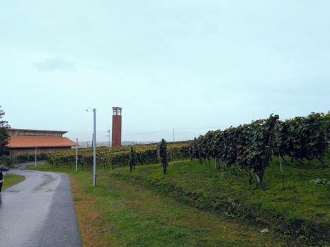 PXL_20250925_021925993~3