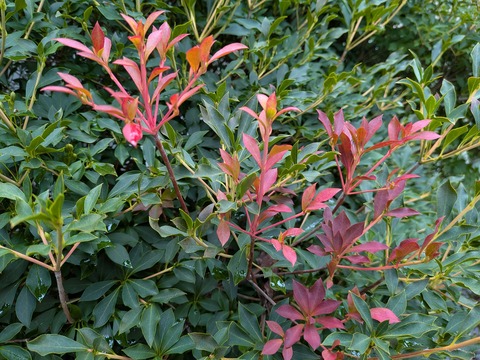 PXL_20250921_032839523