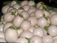 緑色や白色のなす！？ : 暮し・生活インフォメーション