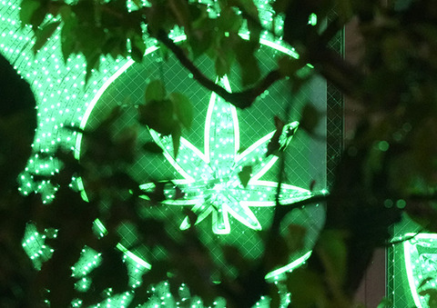 【薬物】「大麻よりアルコールの方が危険性が高い」という矛盾をどう考えるか　須田慎一郎が「大麻グミ」について言及