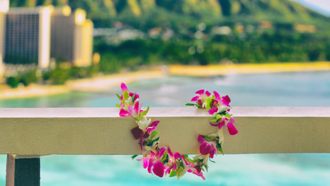 【ハワイ】米国ハワイ州司法長官、嗜好用大麻合法化法案を発表