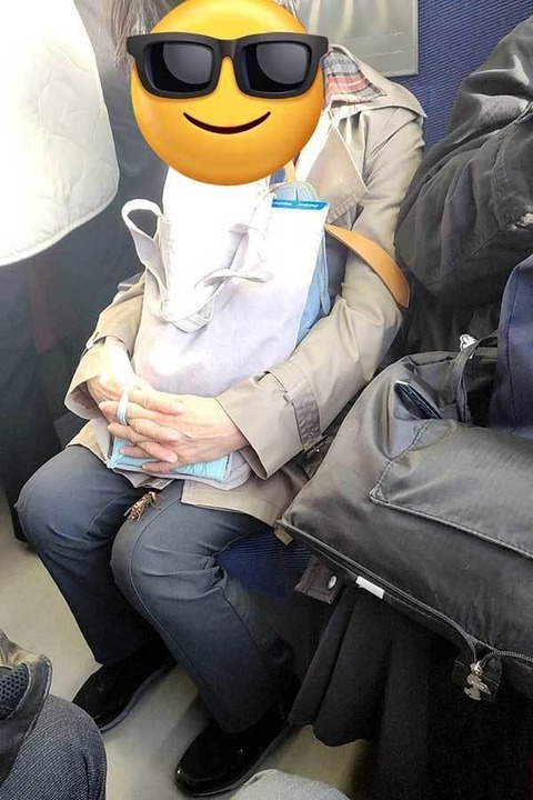 【衝撃】電車内で恐怖体験！女性の膝上にいたスズメバチ「前に座ってるおばさんの膝にスズメバチ乗ってておわた」