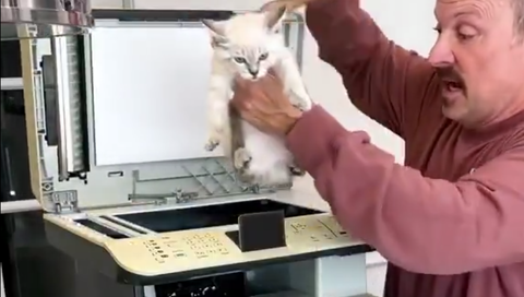 【悲報】ニャンカスさん、コピー機で印刷されるＷＷＷＷＷＷＷＷＷＷＷＷＷＷ